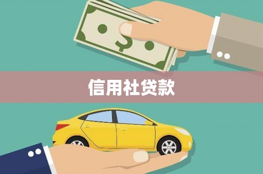坪林信用社贷款