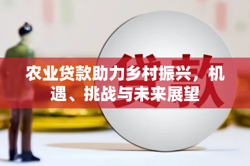 坪林农业贷款助力乡村振兴，机遇、挑战与未来展望