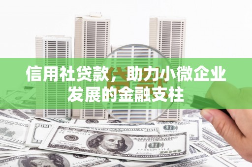 坪林信用社贷款，助力小微企业发展的金融支柱