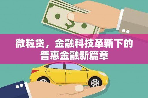 坪林微粒贷，金融科技革新下的普惠金融新篇章