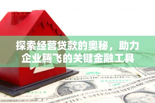 坪林探索经营贷款的奥秘，助力企业腾飞的关键金融工具
