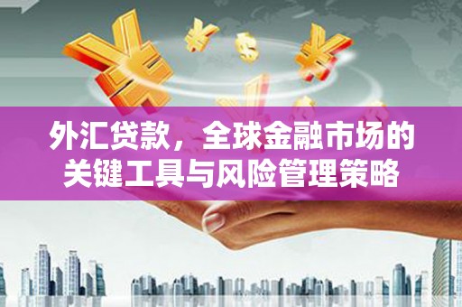 坪林外汇贷款，全球金融市场的关键工具与风险管理策略
