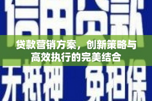坪林贷款营销方案，创新策略与高效执行的完美结合
