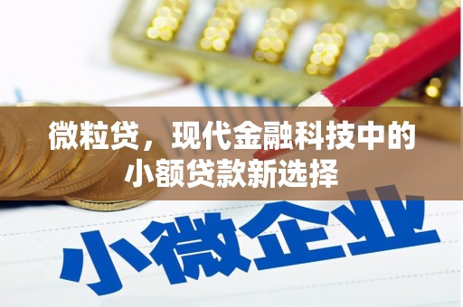 坪林微粒贷，现代金融科技中的小额贷款新选择