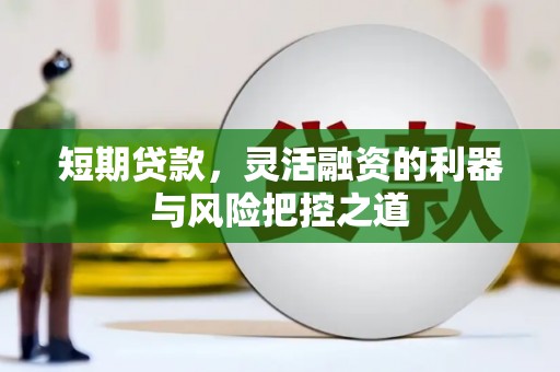 坪林短期贷款，灵活融资的利器与风险把控之道