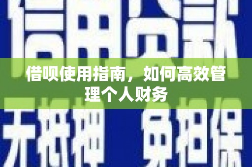 坪林借呗使用指南，如何高效管理个人财务