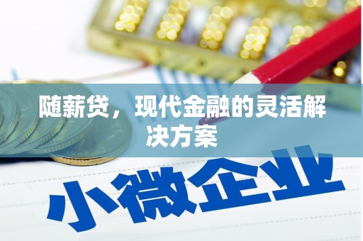坪林随薪贷，现代金融的灵活解决方案