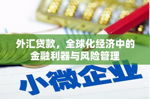 坪林外汇贷款，全球化经济中的金融利器与风险管理