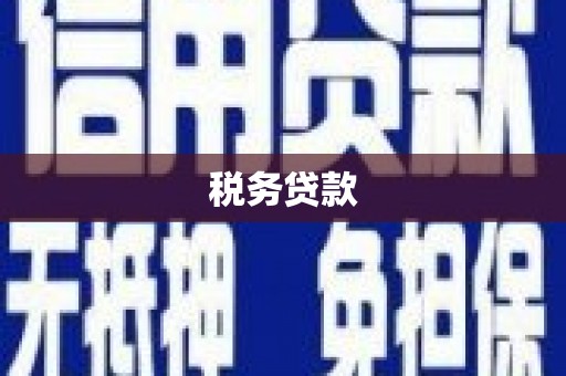坪林税务贷款