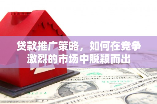 坪林贷款推广策略，如何在竞争激烈的市场中脱颖而出