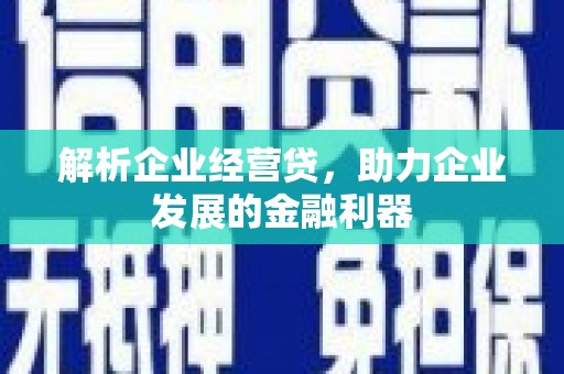 坪林解析企业经营贷，助力企业发展的金融利器