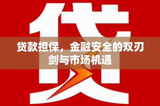 坪林贷款担保，金融安全的双刃剑与市场机遇
