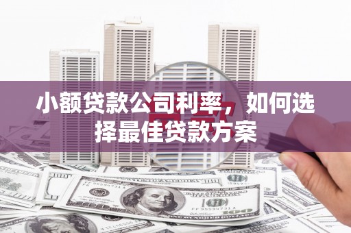 坪林小额贷款公司利率，如何选择最佳贷款方案