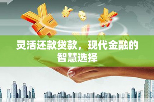坪林灵活还款贷款，现代金融的智慧选择