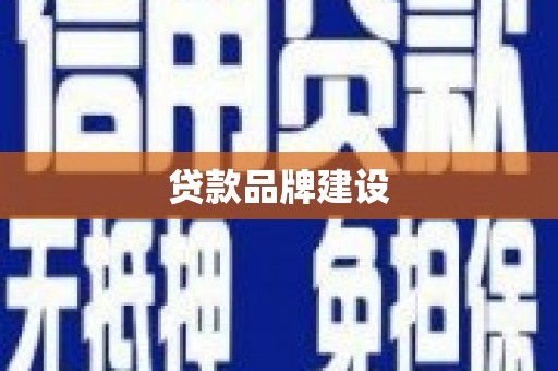坪林贷款品牌建设