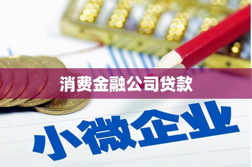 坪林消费金融公司贷款