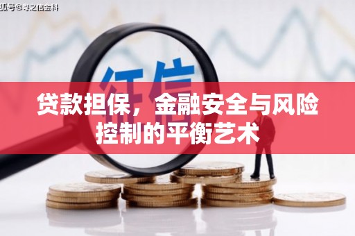 坪林贷款担保，金融安全与风险控制的平衡艺术