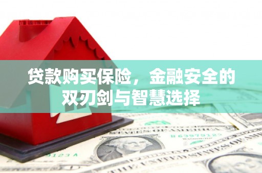坪林贷款购买保险，金融安全的双刃剑与智慧选择