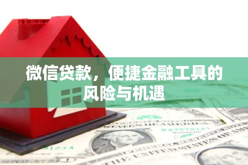 坪林微信贷款，便捷金融工具的风险与机遇
