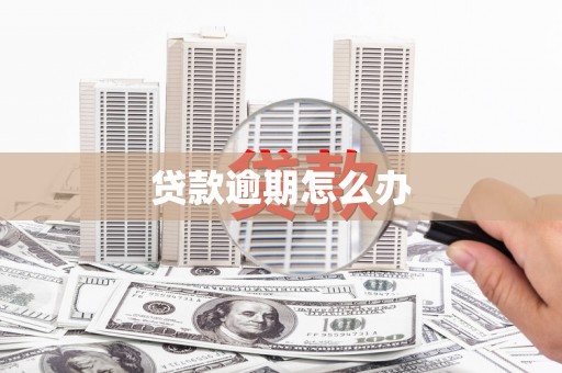 坪林贷款逾期怎么办
