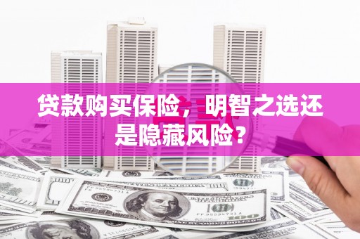 坪林贷款购买保险，明智之选还是隐藏风险？