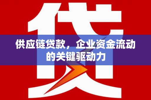 坪林供应链贷款，企业资金流动的关键驱动力