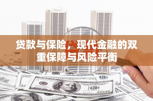 坪林贷款与保险，现代金融的双重保障与风险平衡