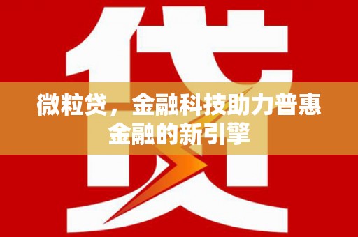 坪林微粒贷，金融科技助力普惠金融的新引擎