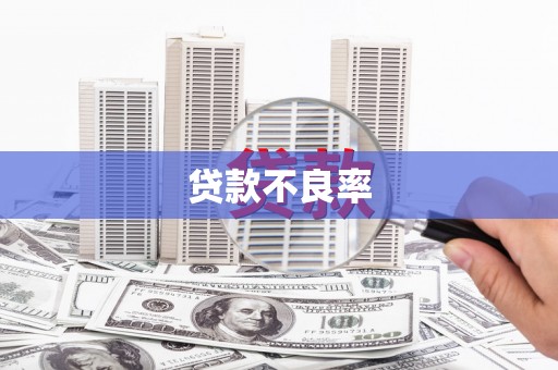 坪林贷款不良率