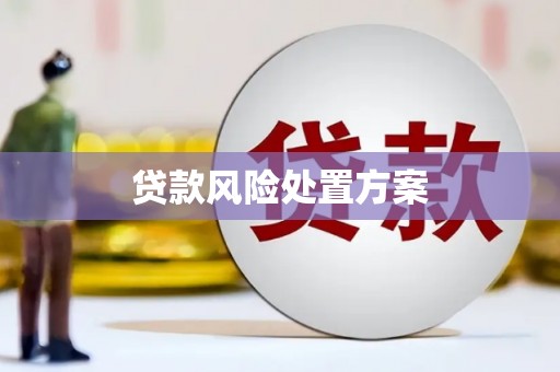 坪林贷款风险处置方案