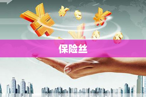 坪林保险丝