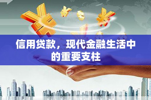 坪林信用贷款，现代金融生活中的重要支柱