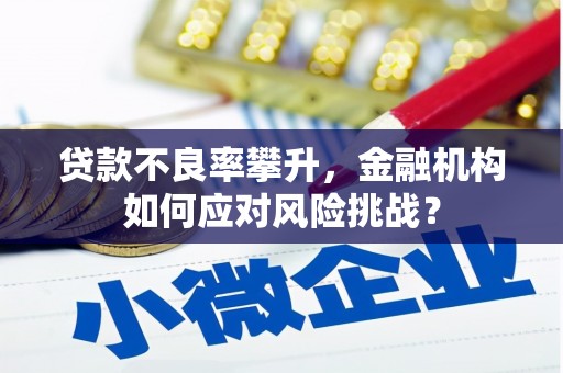 坪林贷款不良率攀升，金融机构如何应对风险挑战？