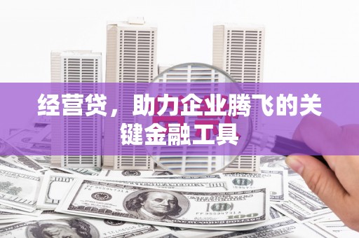 坪林经营贷，助力企业腾飞的关键金融工具