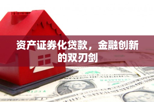 坪林资产证券化贷款，金融创新的双刃剑