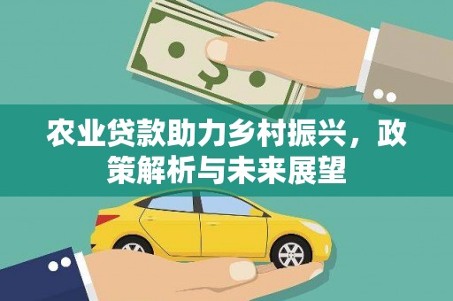 坪林农业贷款助力乡村振兴，政策解析与未来展望