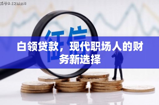 坪林白领贷款，现代职场人的财务新选择