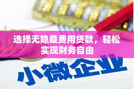 坪林选择无隐藏费用贷款，轻松实现财务自由