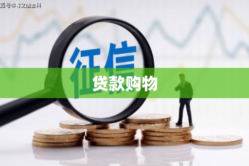 坪林贷款购物