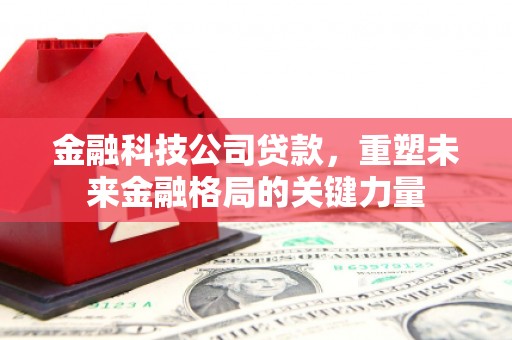 坪林金融科技公司贷款，重塑未来金融格局的关键力量
