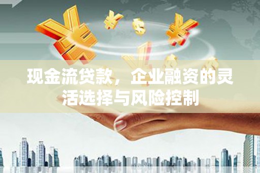 坪林现金流贷款，企业融资的灵活选择与风险控制