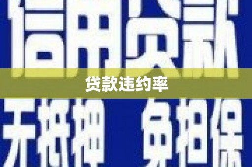 坪林贷款违约率
