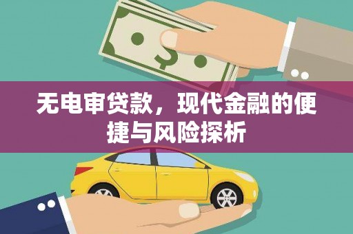 坪林无电审贷款，现代金融的便捷与风险探析