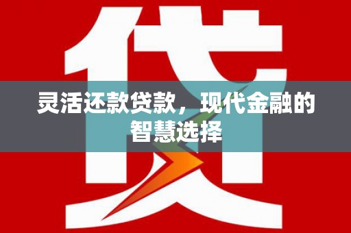 坪林灵活还款贷款，现代金融的智慧选择