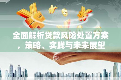 坪林全面解析贷款风险处置方案，策略、实践与未来展望