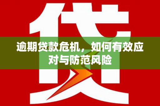 坪林逾期贷款危机，如何有效应对与防范风险