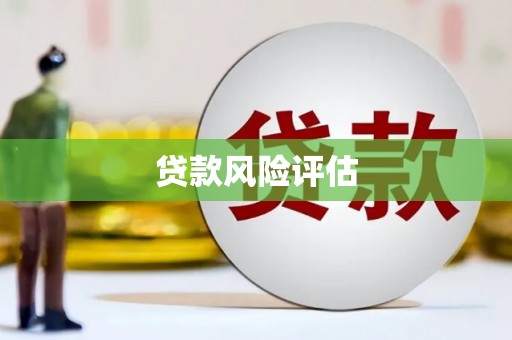 坪林贷款风险评估