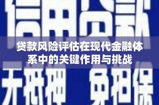 坪林贷款风险评估在现代金融体系中的关键作用与挑战