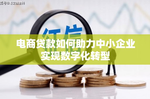 坪林电商贷款如何助力中小企业实现数字化转型