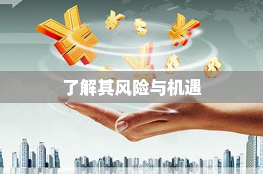 坪林了解其风险与机遇